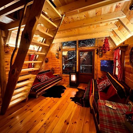Tree House - Tara Place Мойковац Экстерьер фото