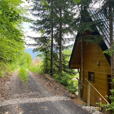 Tree House - Tara Place Мойковац Экстерьер фото