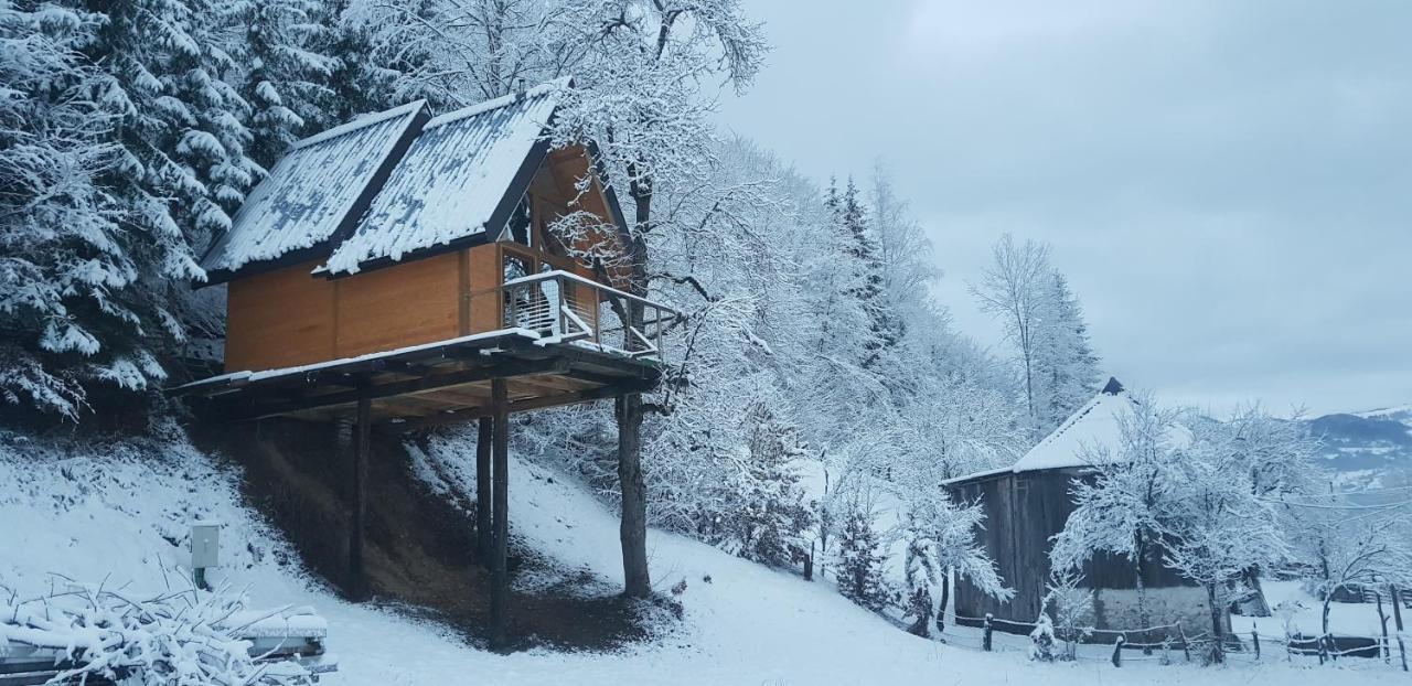 Tree House - Tara Place Мойковац Экстерьер фото
