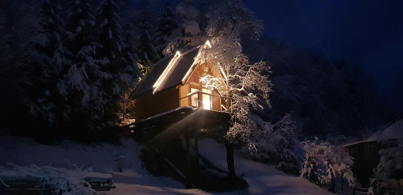 Tree House - Tara Place Мойковац Экстерьер фото