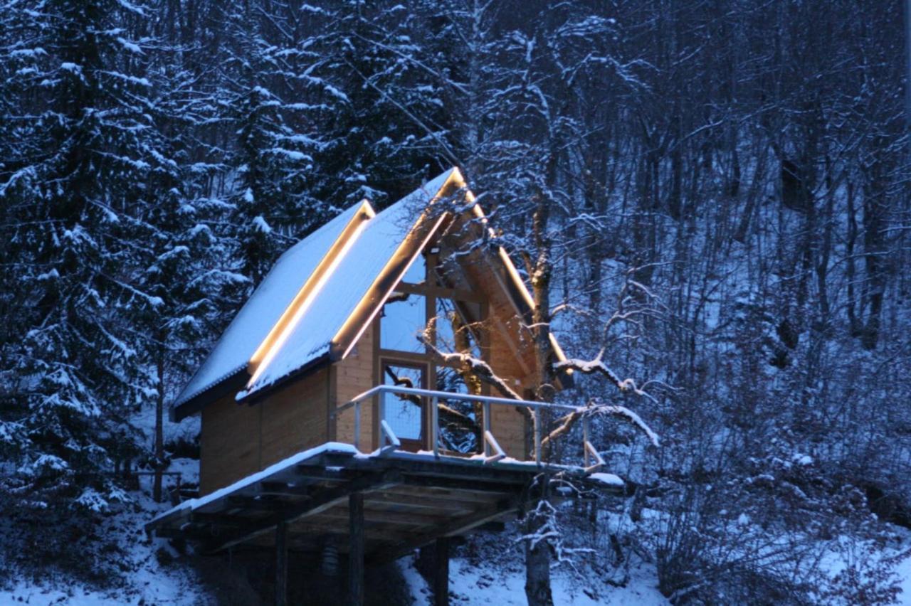 Tree House - Tara Place Мойковац Экстерьер фото