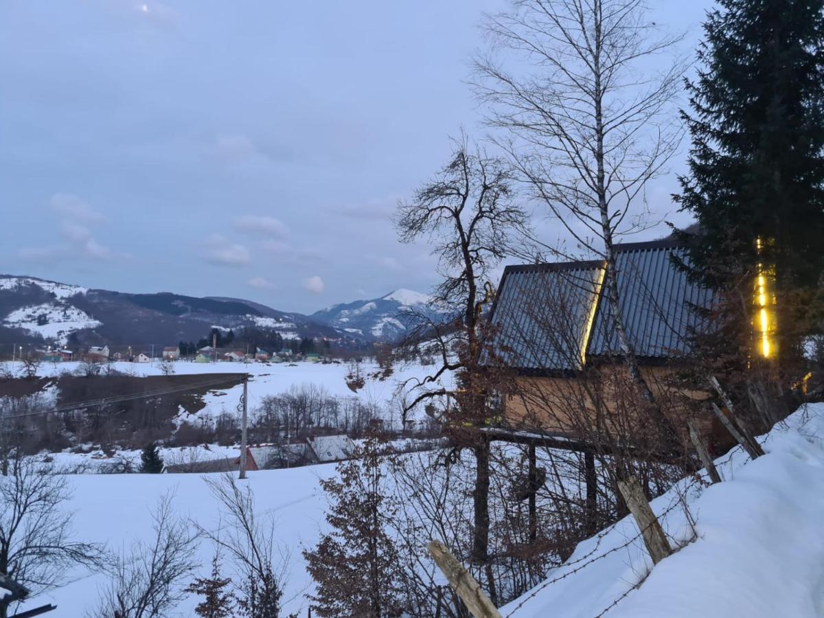 Tree House - Tara Place Мойковац Экстерьер фото