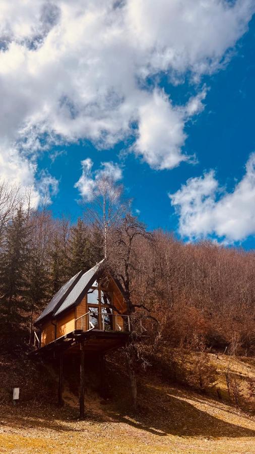 Tree House - Tara Place Мойковац Экстерьер фото