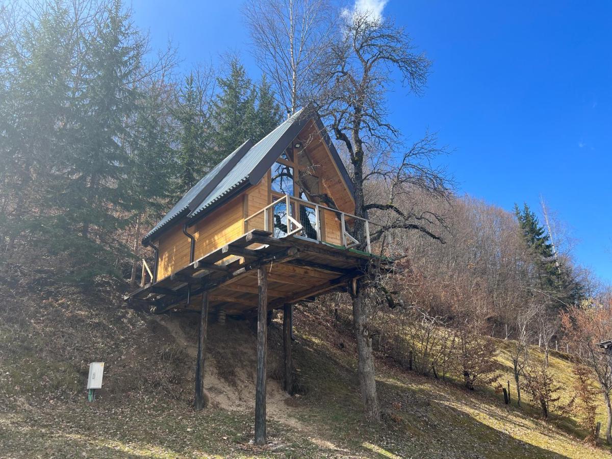 Tree House - Tara Place Мойковац Экстерьер фото