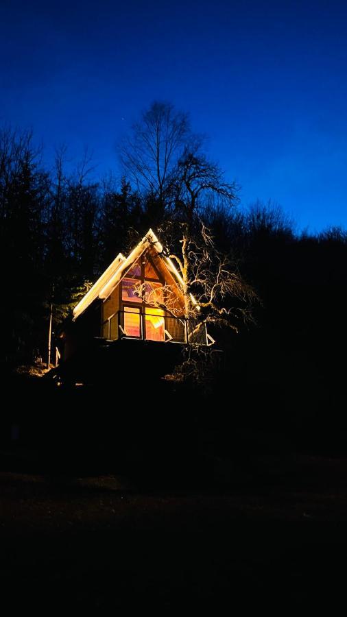 Tree House - Tara Place Мойковац Экстерьер фото
