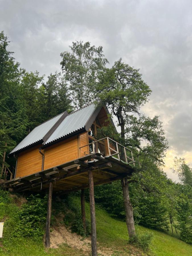 Tree House - Tara Place Мойковац Экстерьер фото