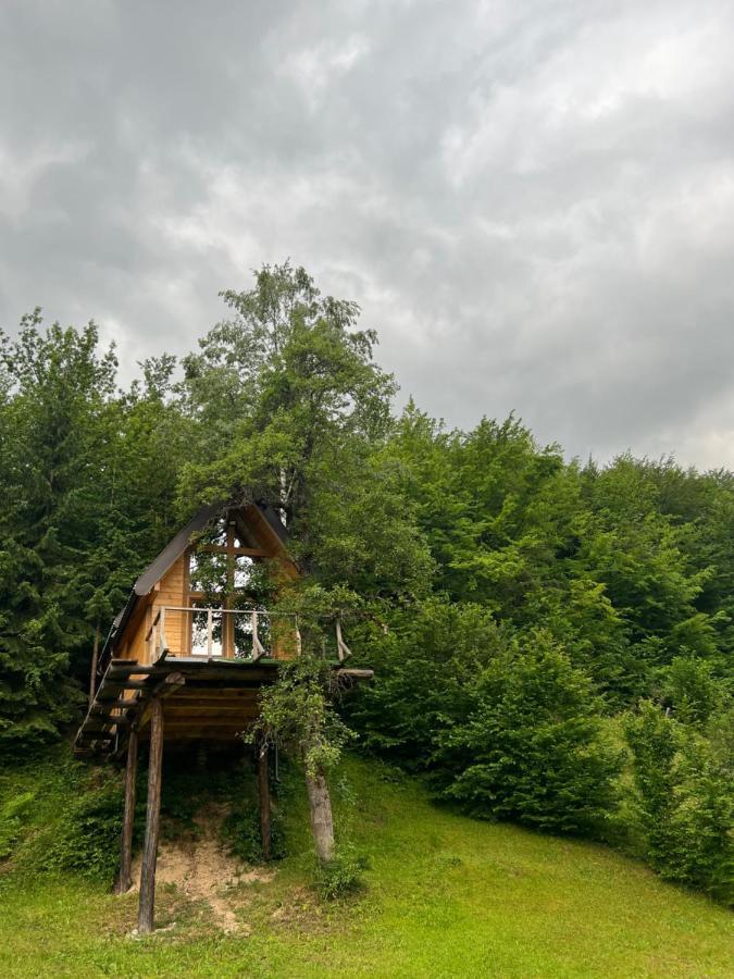 Tree House - Tara Place Мойковац Экстерьер фото
