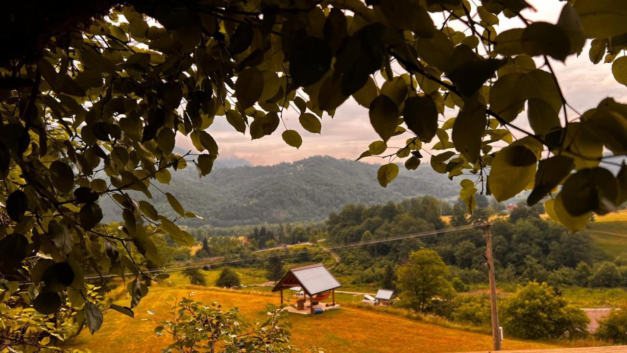 Tree House - Tara Place Мойковац Экстерьер фото