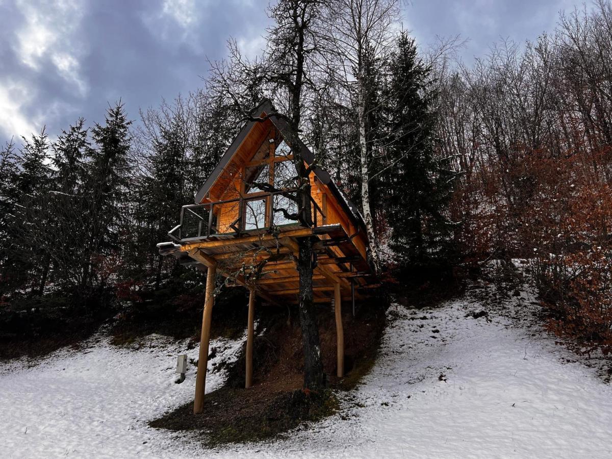 Tree House - Tara Place Мойковац Экстерьер фото