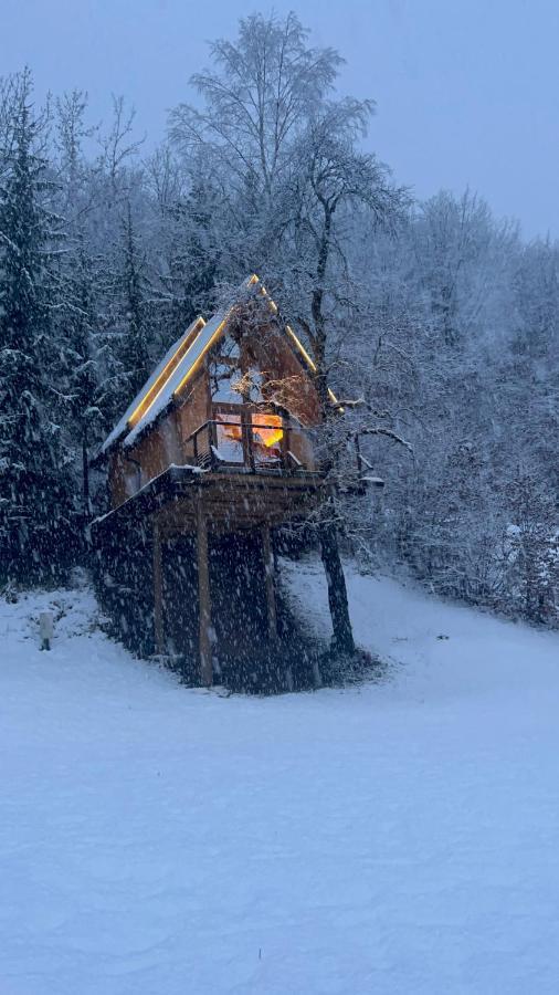 Tree House - Tara Place Мойковац Экстерьер фото