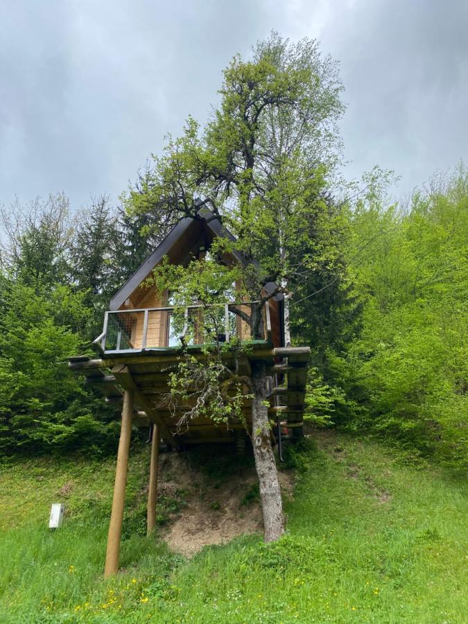 Tree House - Tara Place Мойковац Экстерьер фото