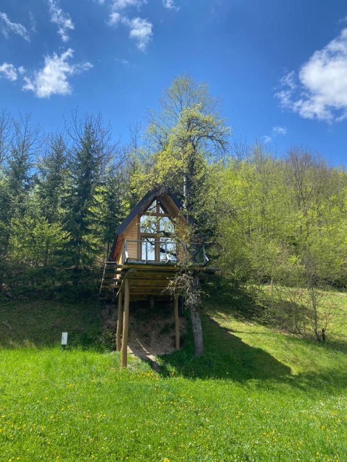 Tree House - Tara Place Мойковац Экстерьер фото