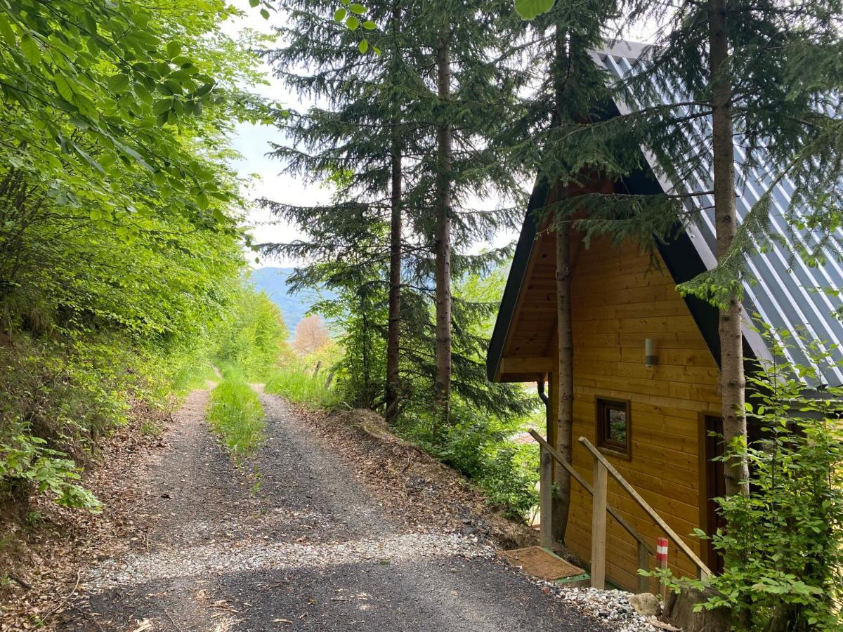Tree House - Tara Place Мойковац Экстерьер фото